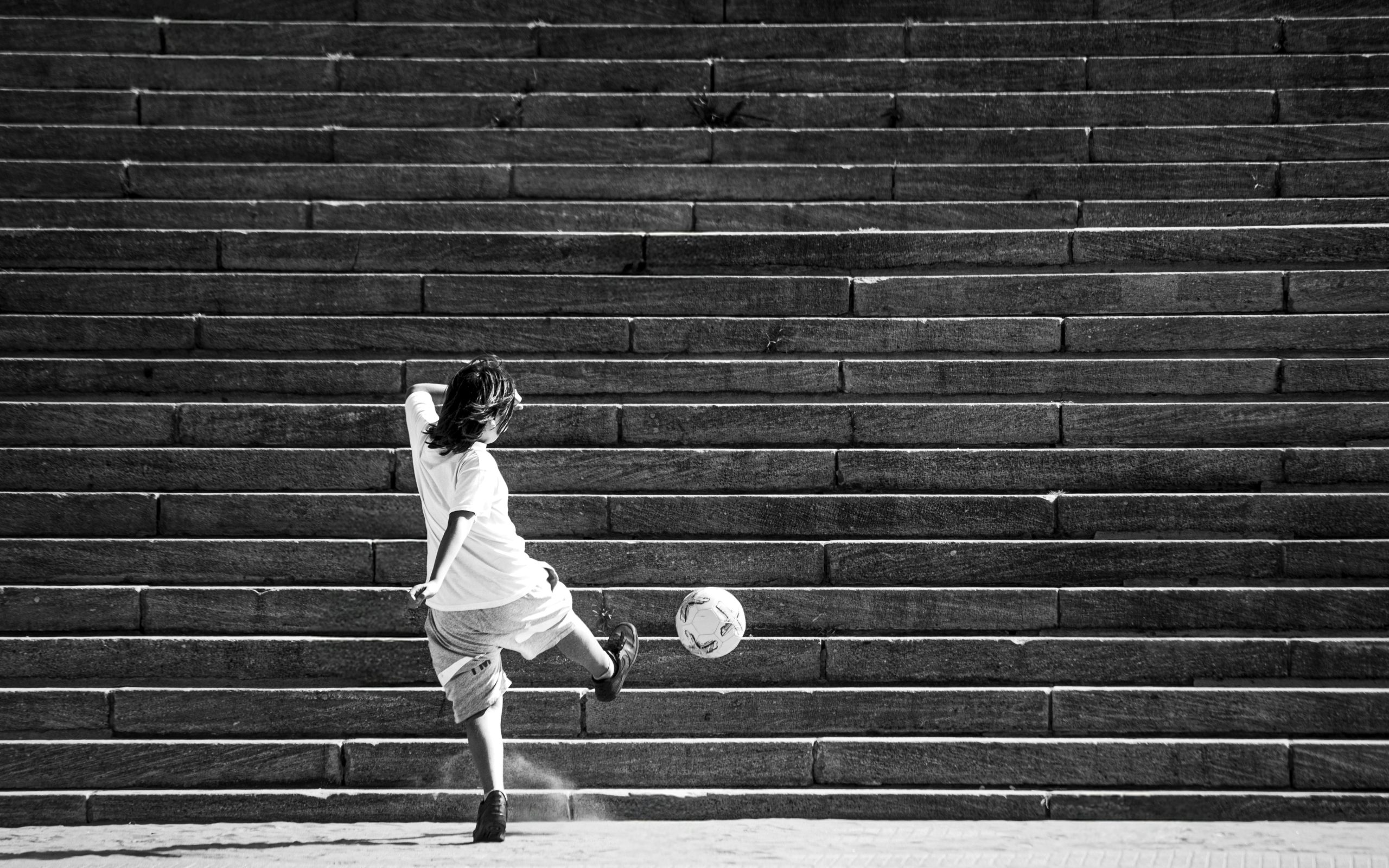 pexels-alex-dos-santos-305643819-31871197